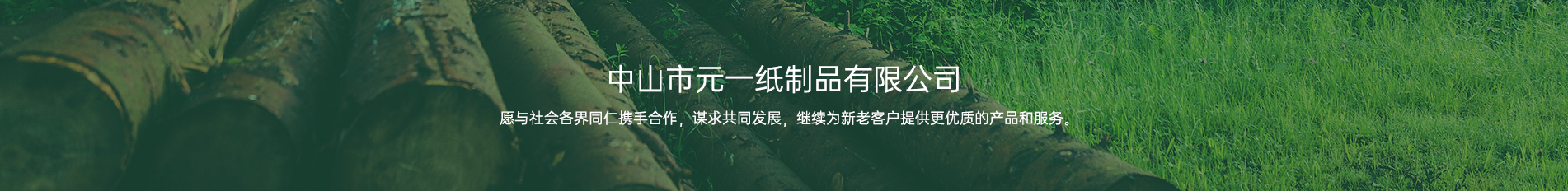 中山麻豆视频免费观看一纸制品